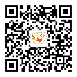 Đây là thông tin mô tả Đây là thông tin mô tả