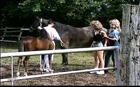 Domina weird domination