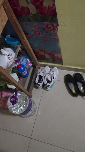 Fucking the Housemaid